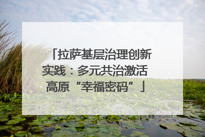 拉萨基层治理创新实践：多元共治激活高原“幸福密码”