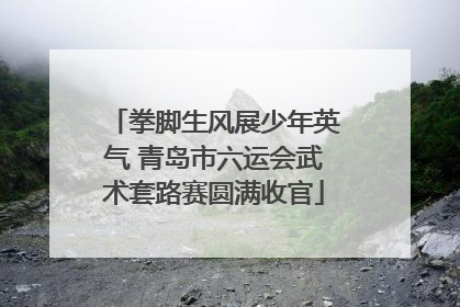 拳脚生风展少年英气 青岛市六运会武术套路赛圆满收官