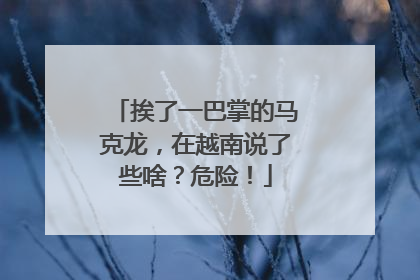 挨了一巴掌的马克龙，在越南说了些啥？危险！