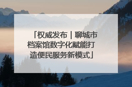 权威发布｜聊城市档案馆数字化赋能打造便民服务新模式