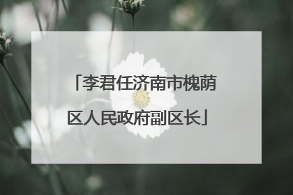 李君任济南市槐荫区人民政府副区长