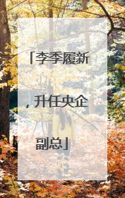 李季履新，升任央企副总