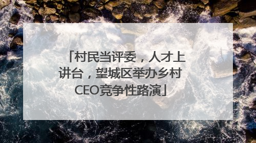 村民当评委，人才上讲台，望城区举办乡村CEO竞争性路演