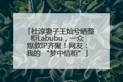 杜淳妻子王灿兮晒整柜Labubu，一众爆款IP齐聚！网友：我的 “梦中情柜”