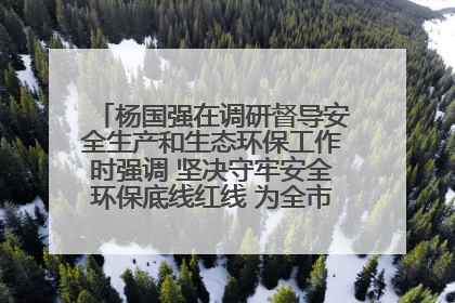 杨国强在调研督导安全生产和生态环保工作时强调 坚决守牢安全环保底线红线 为全市经济社会高质量发展提供坚强保障