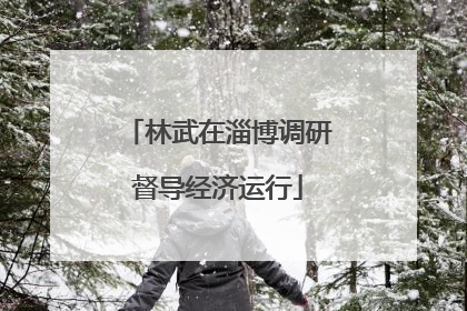 林武在淄博调研督导经济运行