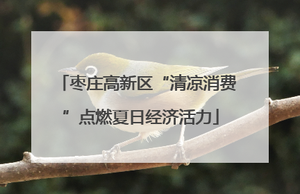 枣庄高新区“清凉消费”点燃夏日经济活力