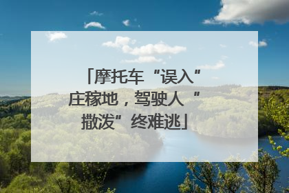 摩托车“误入”庄稼地，驾驶人“撒泼”终难逃