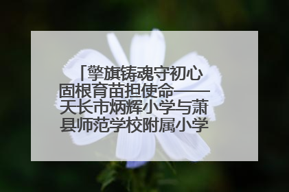擎旗铸魂守初心 固根育苗担使命——天长市炳辉小学与萧县师范学校附属小学结对共建活动纪实