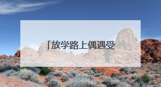 放学路上偶遇受伤夜鹭，聊城三名小学生求助民警