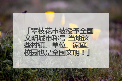 攀枝花市被授予全国文明城市称号 当地这些村镇、单位、家庭、校园也是全国文明！