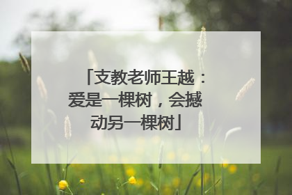 支教老师王越：爱是一棵树，会撼动另一棵树