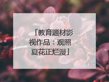 教育题材影视作品：观照夏花正烂漫
