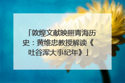 敦煌文献映照青海历史：黄维忠教授解读《吐谷浑大事纪年》
