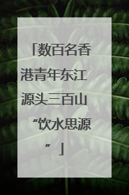 数百名香港青年东江源头三百山“饮水思源”