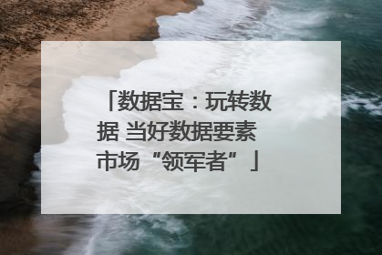 数据宝：玩转数据 当好数据要素市场“领军者”