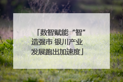 数智赋能“智”造强市 银川产业发展跑出加速度
