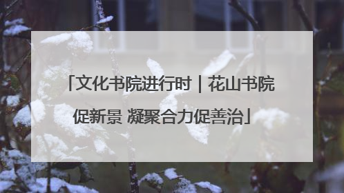 文化书院进行时｜花山书院促新景 凝聚合力促善治