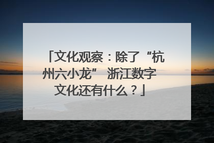 文化观察：除了“杭州六小龙” 浙江数字文化还有什么？