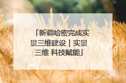 新疆哈密完成实景三维建设｜实景三维 科技赋能
