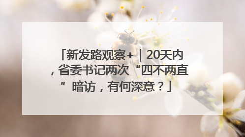 新发路观察+｜20天内，省委书记两次“四不两直”暗访，有何深意？