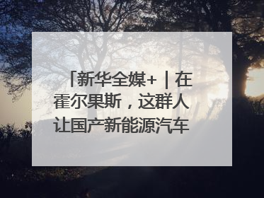 新华全媒+｜在霍尔果斯，这群人让国产新能源汽车“跑”向中亚