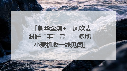 新华全媒+｜风吹麦浪好“丰”景——多地小麦机收一线见闻