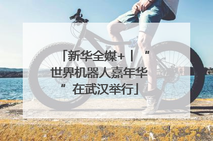 新华全媒+丨“世界机器人嘉年华”在武汉举行