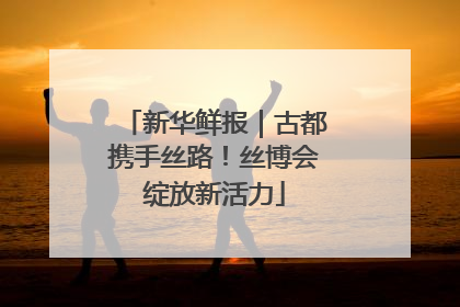 新华鲜报｜古都携手丝路！丝博会绽放新活力