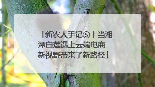 新农人手记⑤丨当湘潭白莲遇上云端电商 新视野带来了新路径