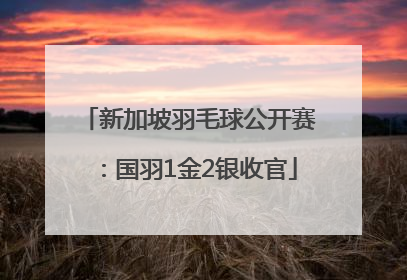 新加坡羽毛球公开赛：国羽1金2银收官