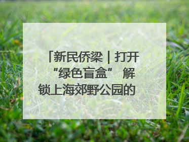 新民侨梁｜打开“绿色盲盒” 解锁上海郊野公园的N种玩法