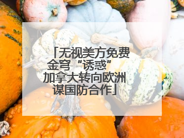 无视美方免费金穹“诱惑” 加拿大转向欧洲谋国防合作