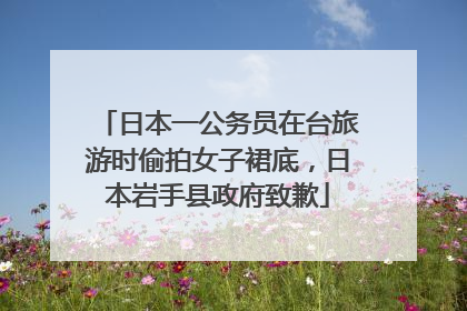 日本一公务员在台旅游时偷拍女子裙底，日本岩手县政府致歉