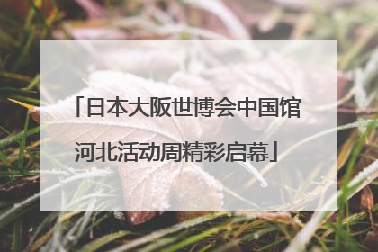 日本大阪世博会中国馆河北活动周精彩启幕
