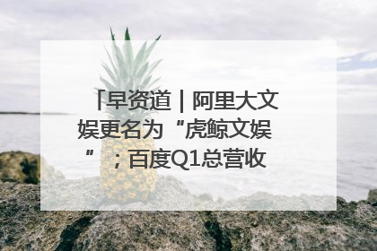 早资道｜阿里大文娱更名为“虎鲸文娱”；百度Q1总营收325亿元超预期