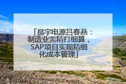 昆宇电源吕春燕：制造业需精打细算，SAP项目实现精细化成本管理