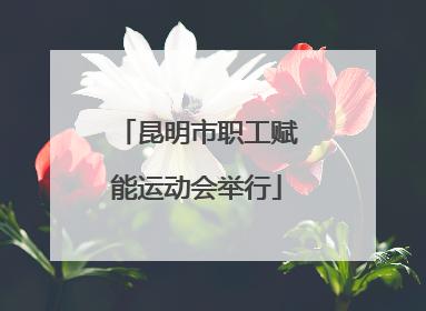 昆明市职工赋能运动会举行