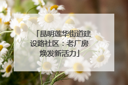 昆明莲华街道建设路社区：老厂房焕发新活力