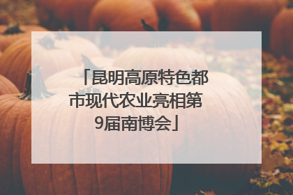 昆明高原特色都市现代农业亮相第9届南博会