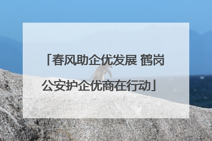 春风助企优发展 鹤岗公安护企优商在行动