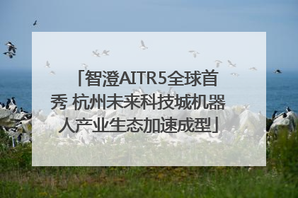 智澄AITR5全球首秀 杭州未来科技城机器人产业生态加速成型