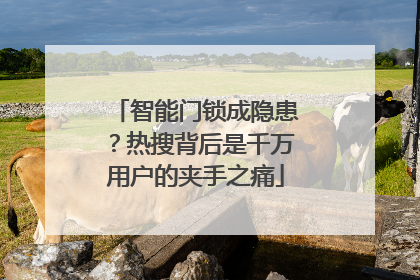 智能门锁成隐患？热搜背后是千万用户的夹手之痛