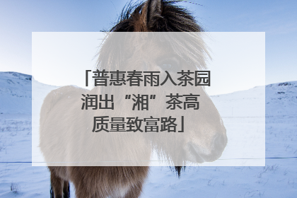 普惠春雨入茶园 润出“湘”茶高质量致富路