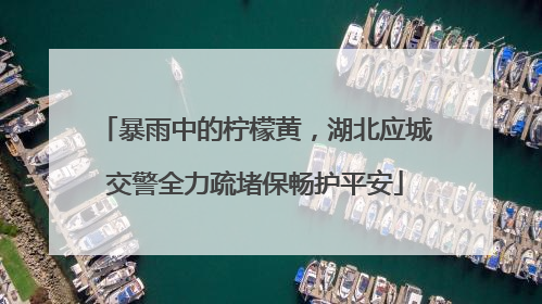 暴雨中的柠檬黄，湖北应城交警全力疏堵保畅护平安