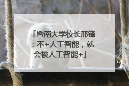 暨南大学校长邢锋：不+人工智能，就会被人工智能+