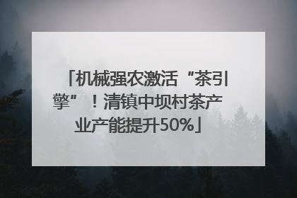 机械强农激活“茶引擎”！清镇中坝村茶产业产能提升50%