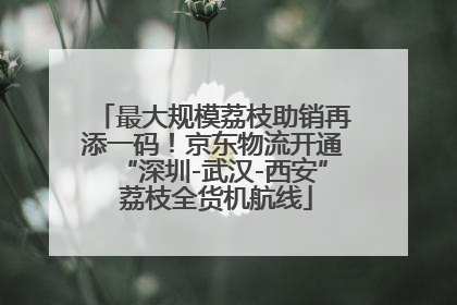 最大规模荔枝助销再添一码！京东物流开通“深圳-武汉-西安” 荔枝全货机航线