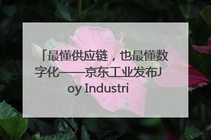 最懂供应链，也最懂数字化——京东工业发布Joy Industrial 重塑工业未来
