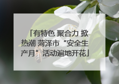 有特色 聚合力 掀热潮 菏泽市“安全生产月”活动遍地开花
